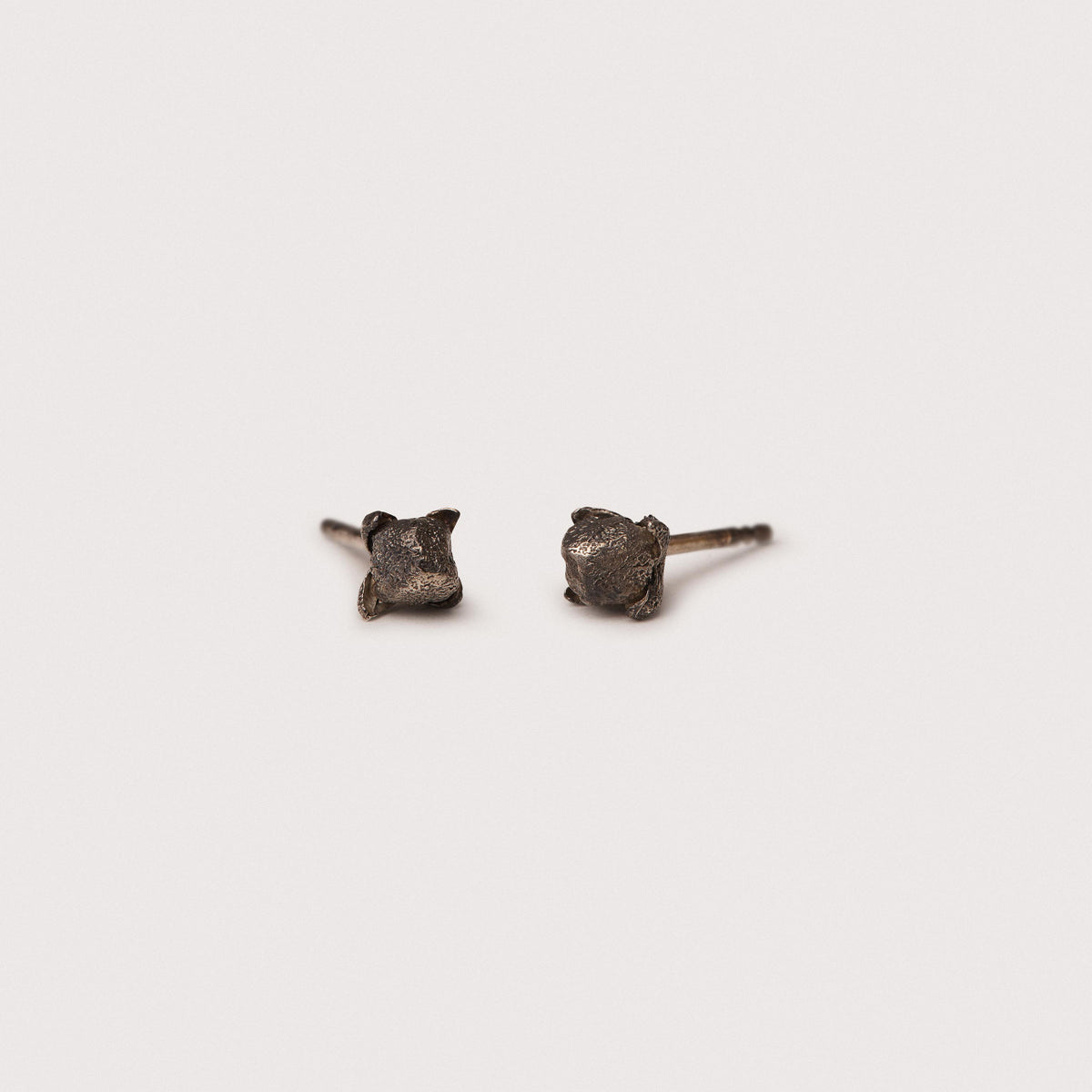 Clove stud earrings