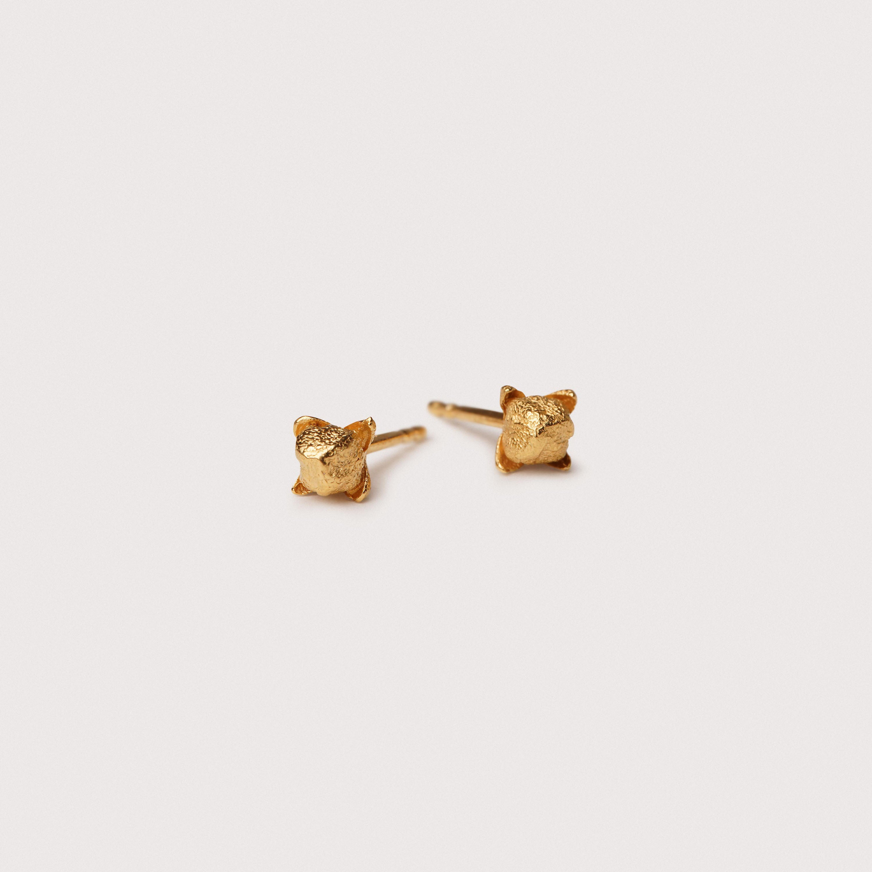 Clove stud earrings