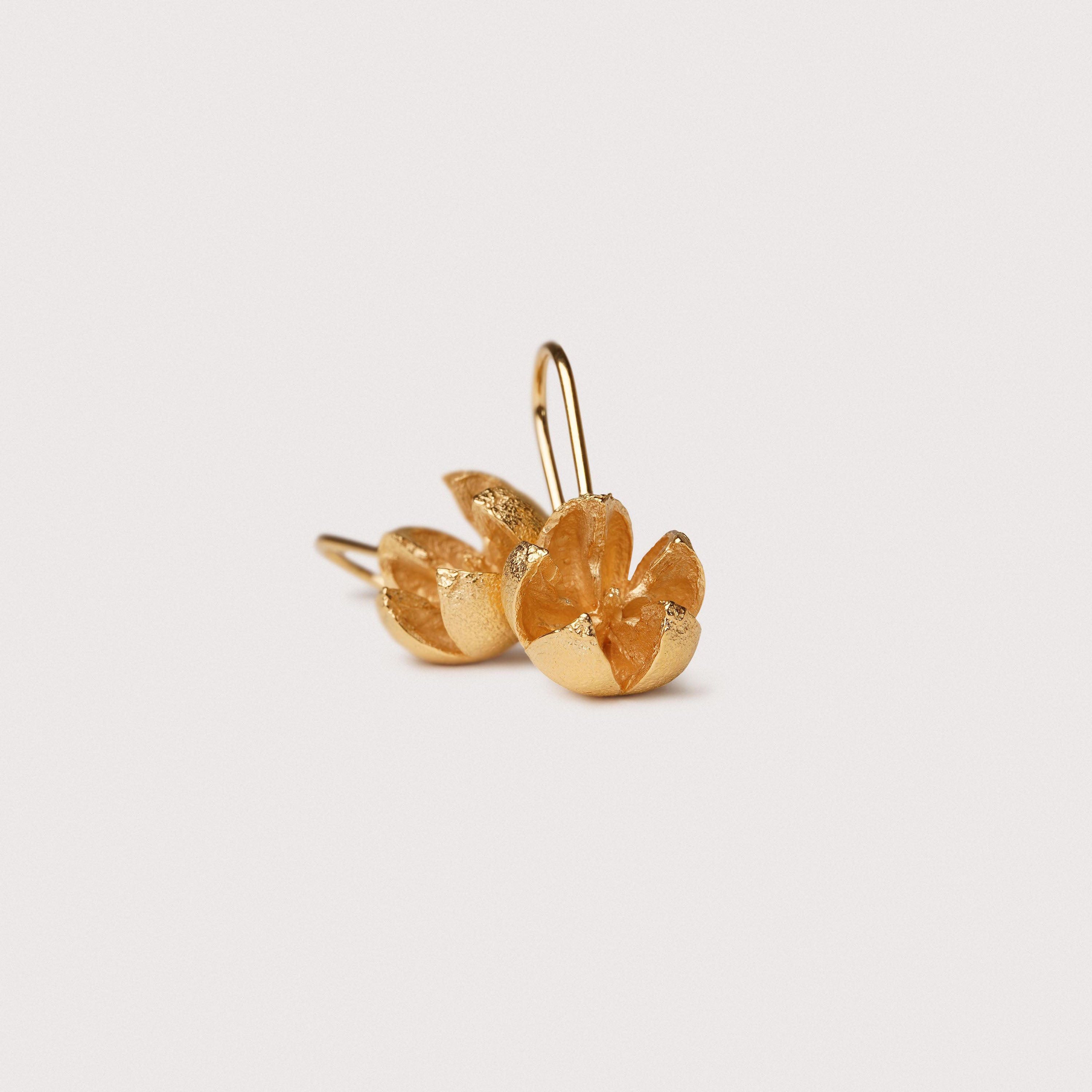 Globe fruit earring