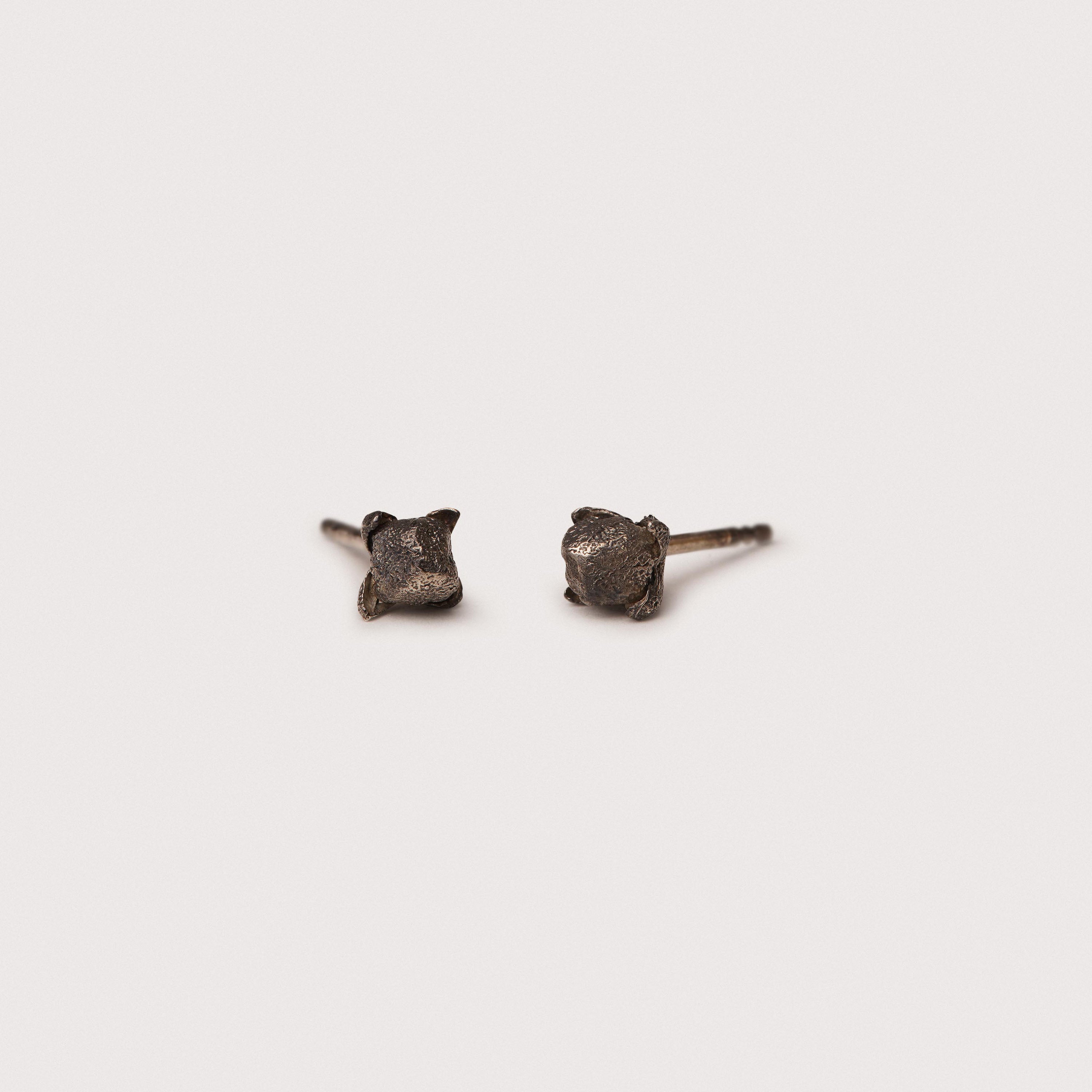 Clove stud earrings