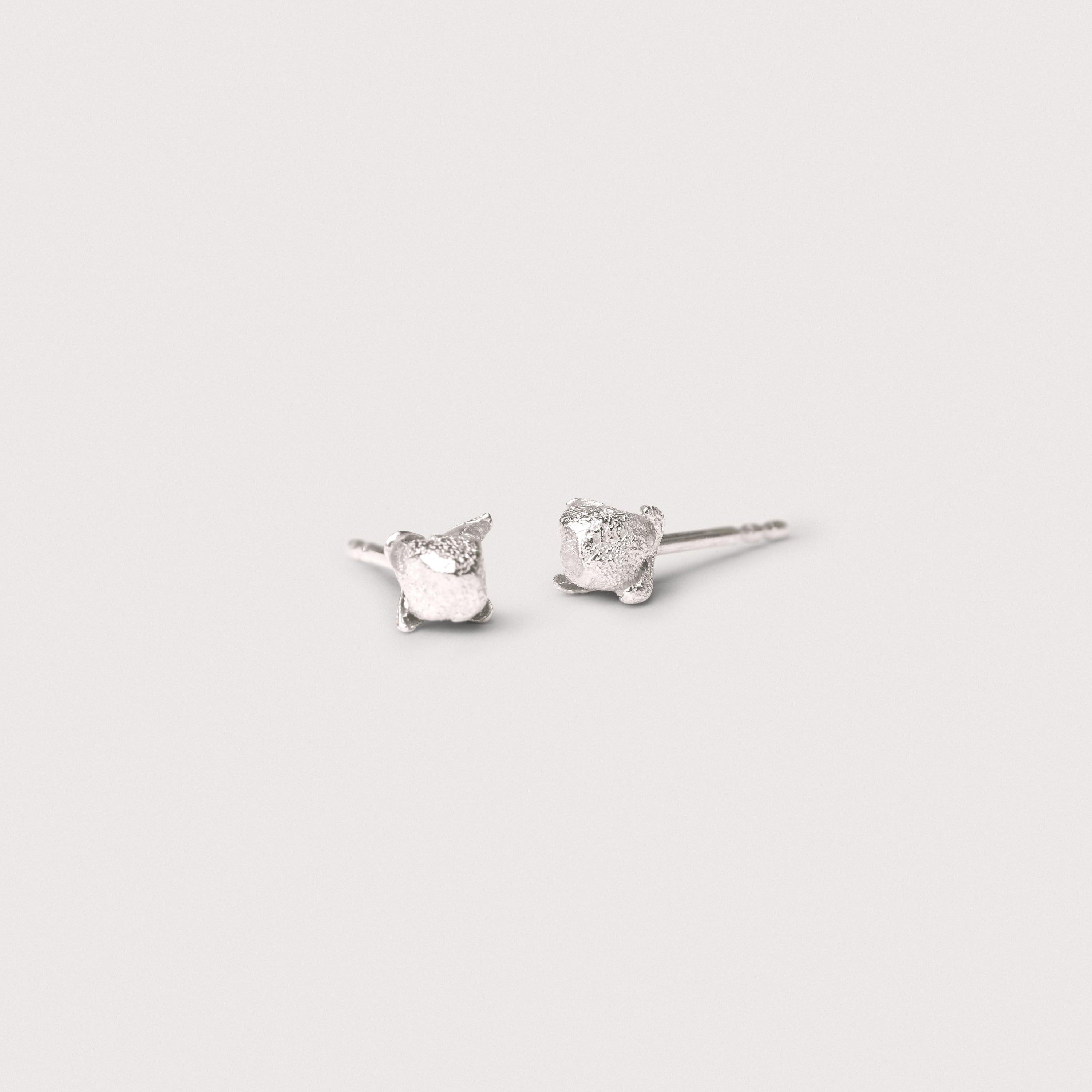 Clove stud earrings