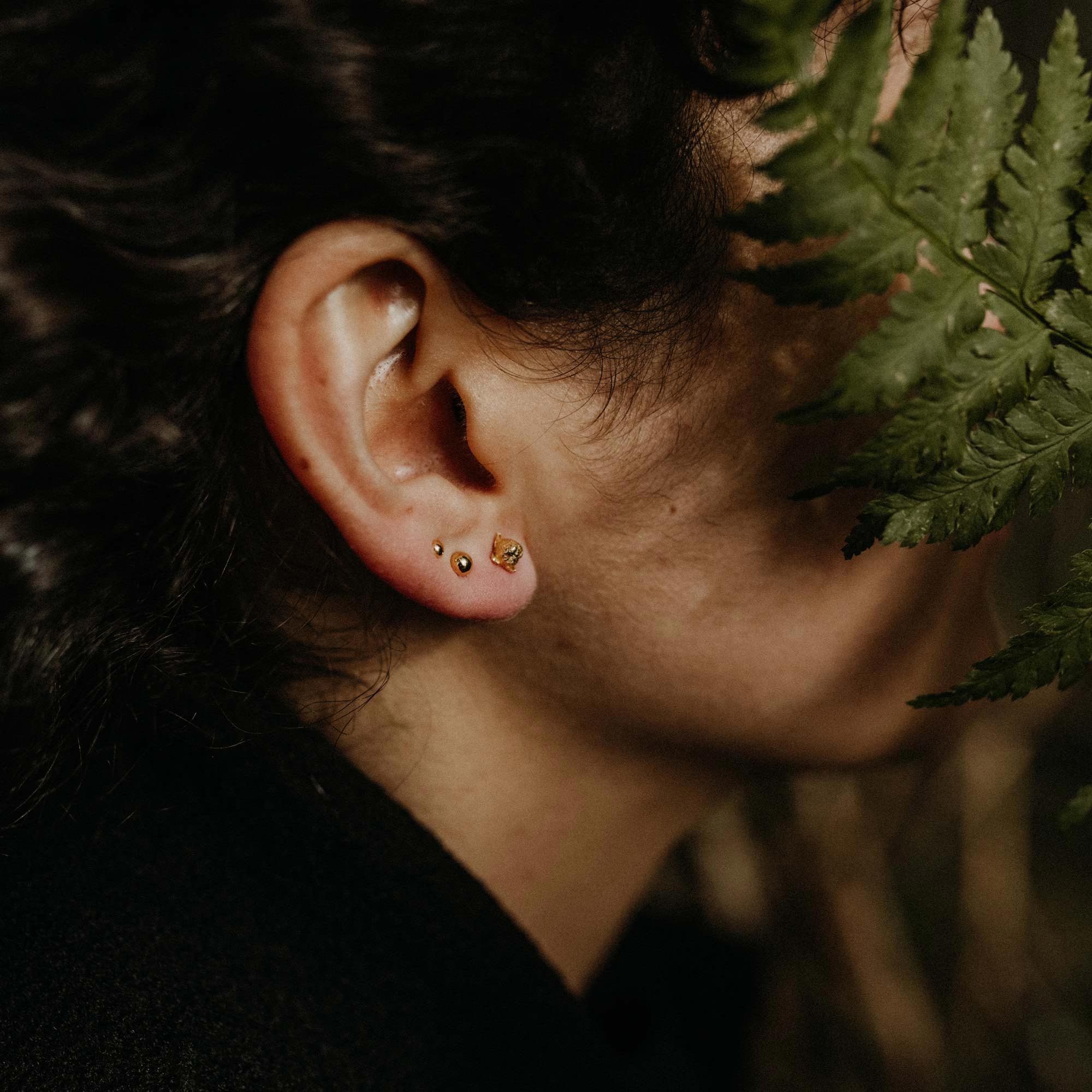 Clove stud earrings